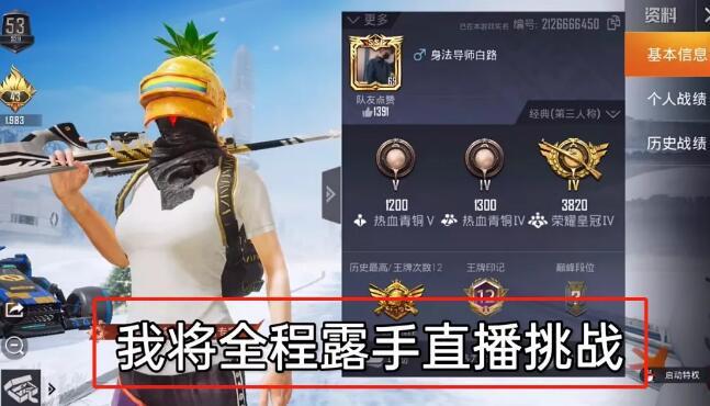 和平精英腾讯模拟器辅助【ACE变态版】